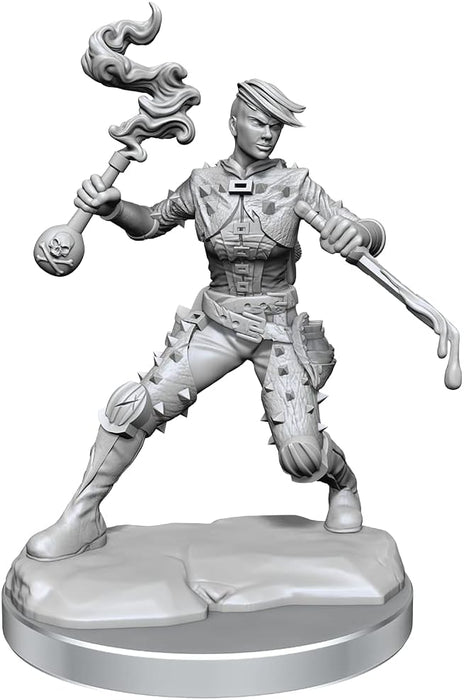 WizKids: Frameworks Human Rogue Female