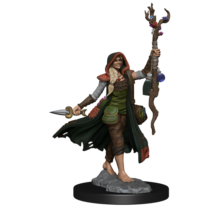 WizKids: Framework Human Druid Female