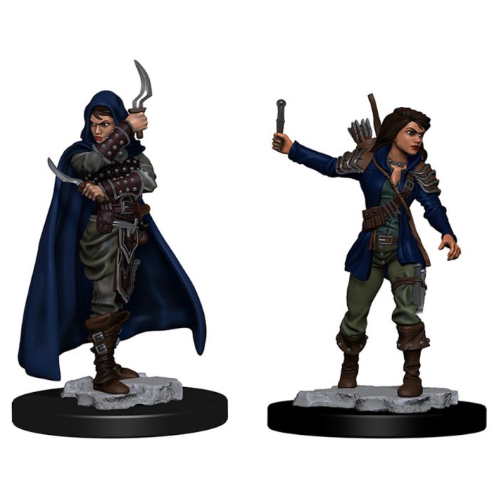 Pathfinder: Deep Cuts Minis: Human Female Rogue W1 (Unpainted)