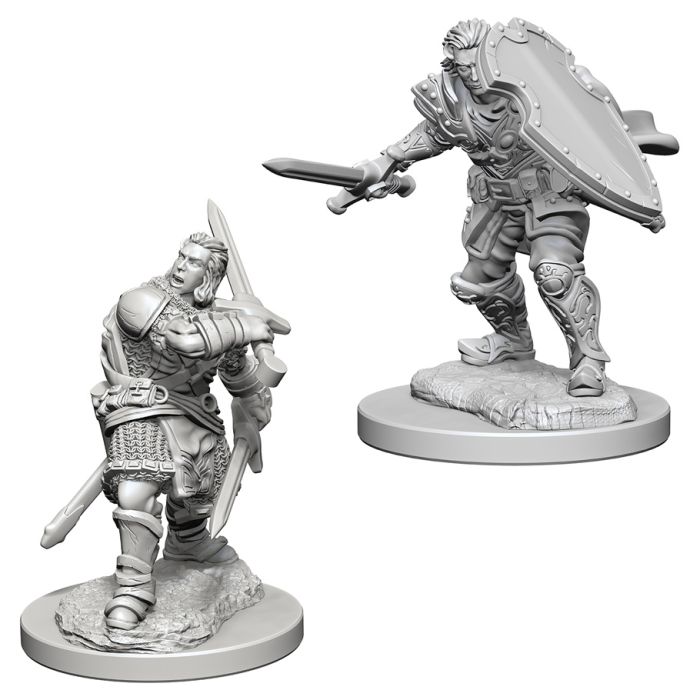 Dungeons & Dragons Nolzur`s Marvelous Unpainted Miniatures: W3 Human Male Paladin