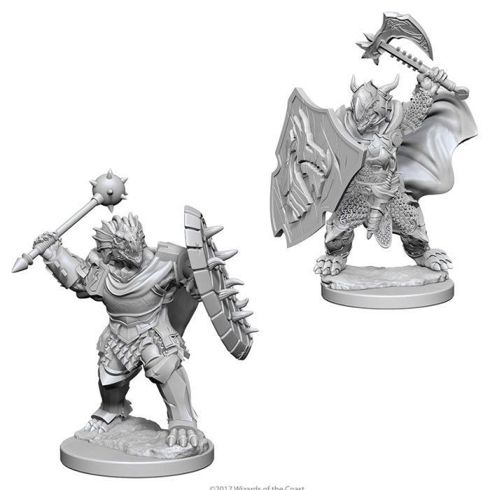 Nolzur's Marvelous Minis: Dragonborn Male Paladin