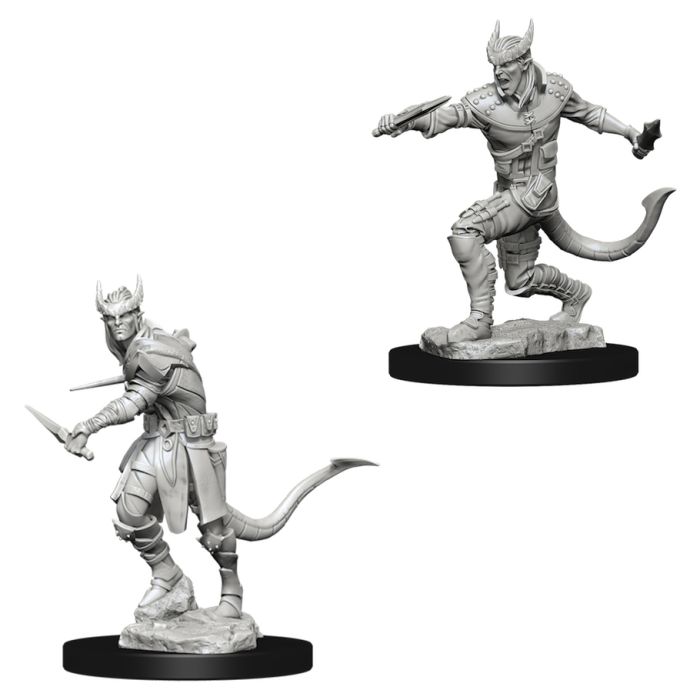 Nolzur's Marvelous Minis: Tiefling Male Rogue