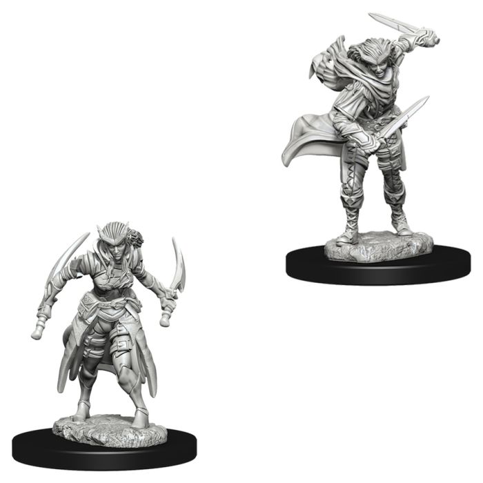 Dungeons & Dragons: Nolzur's Marvelous Unpainted Miniatures - W07 Tiefling Female Rogue