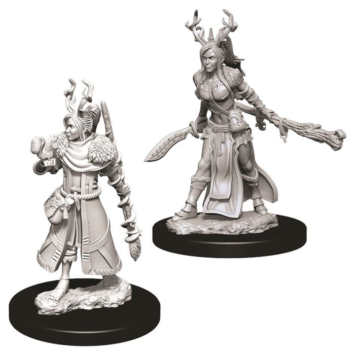 Dungeons & Dragons: Nolzur's Marvelous Unpainted Miniatures - W09 Female Human Druid