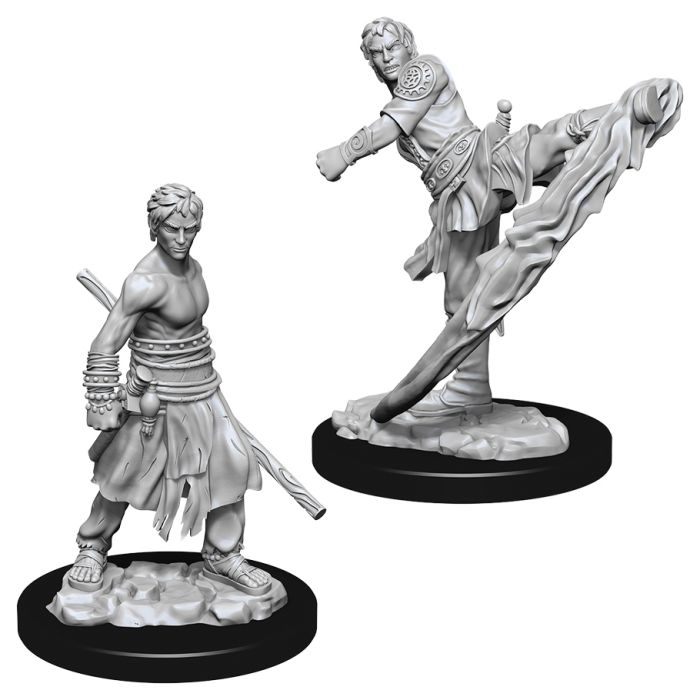 Nolzur's Marvelous Minis: Male Half-Elf Monk