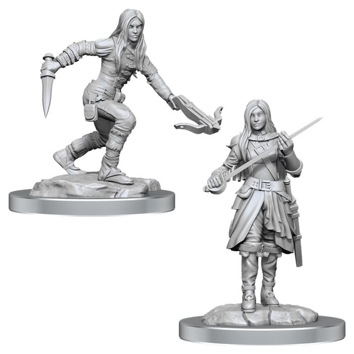 Nolzur's Marvelous Minis: Half-Elf Rogue Female