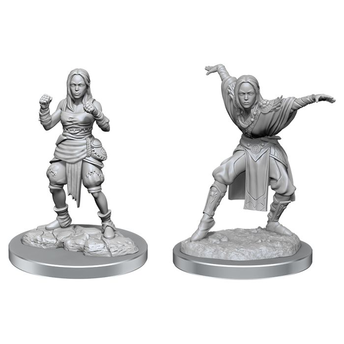 Pathfinder Deep Cuts: Half-Elf Monk Female